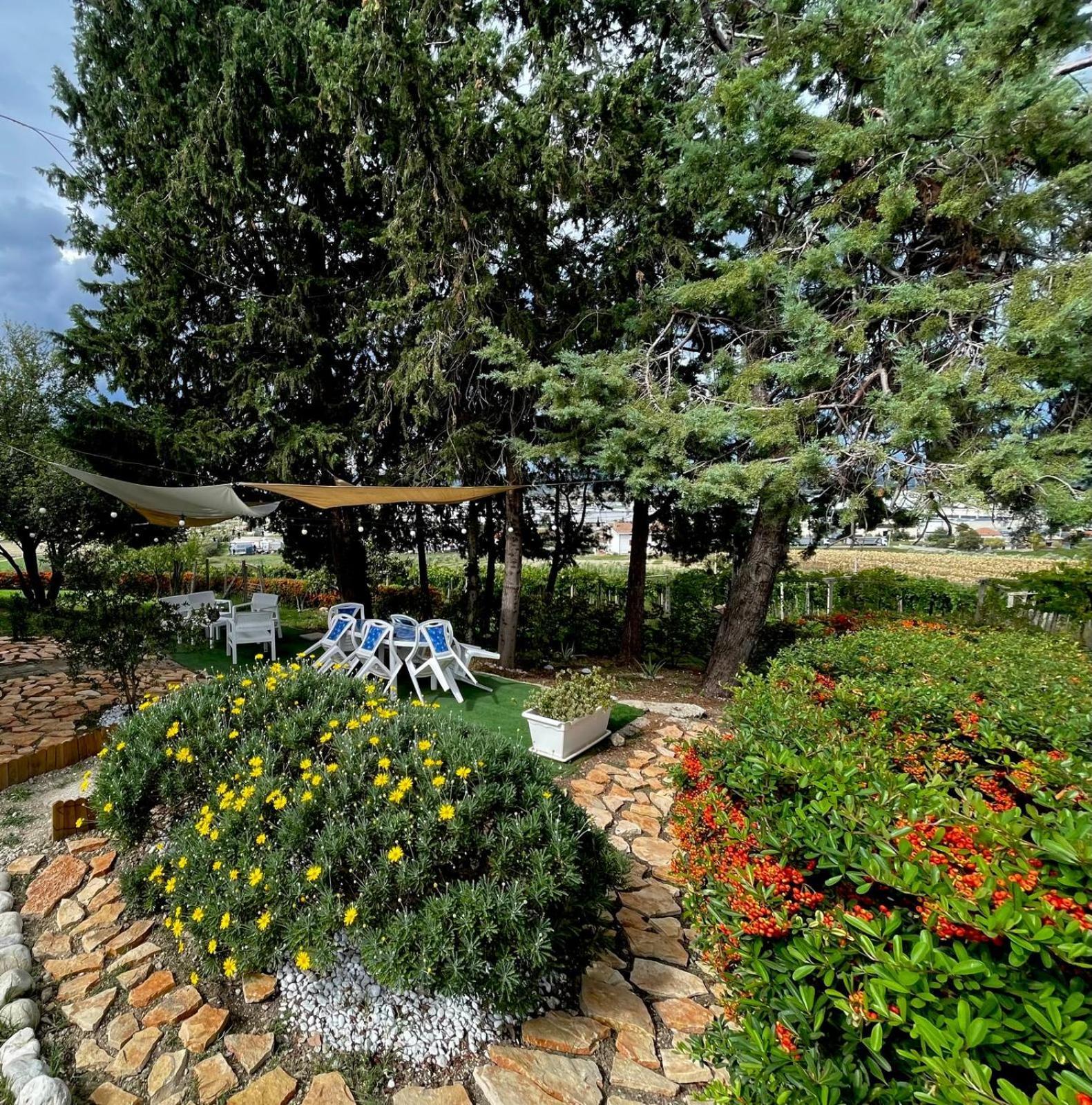 Il Glicine Campagnolo Bed & Breakfast *