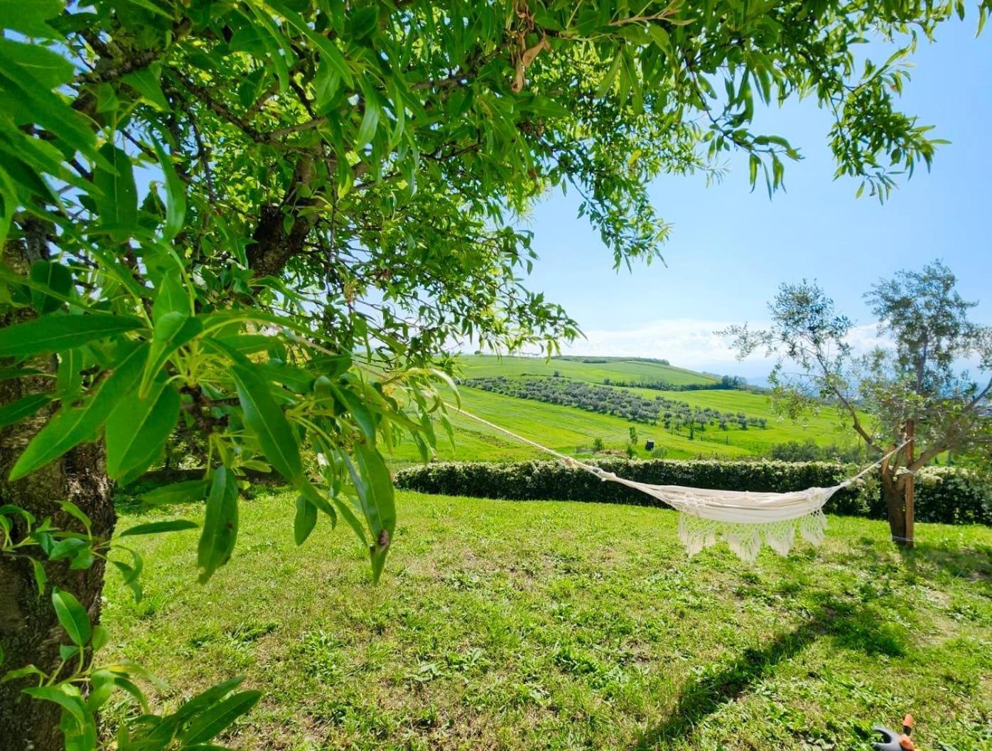 Il Glicine Campagnolo Bed & Breakfast
