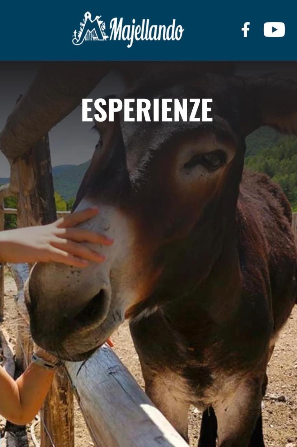 Il Glicine Campagnolo Bed & Breakfast Atessa